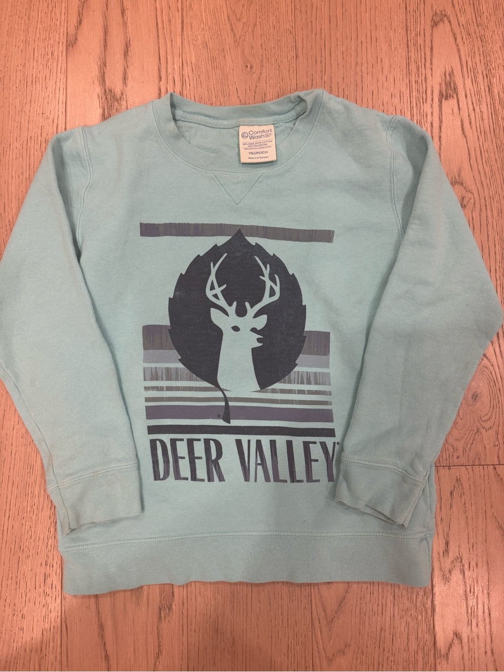 Kids Small Light Teal Deer Valley sweatshirt